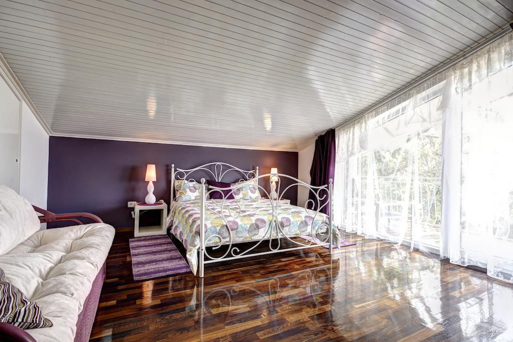 Villa Parenzana Вишнян Экстерьер фото